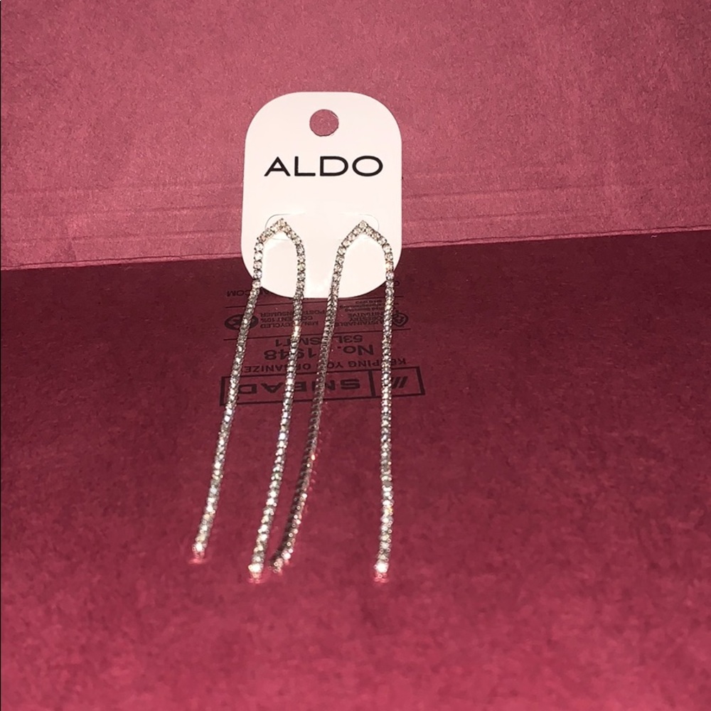 Silver Aldo Earrings